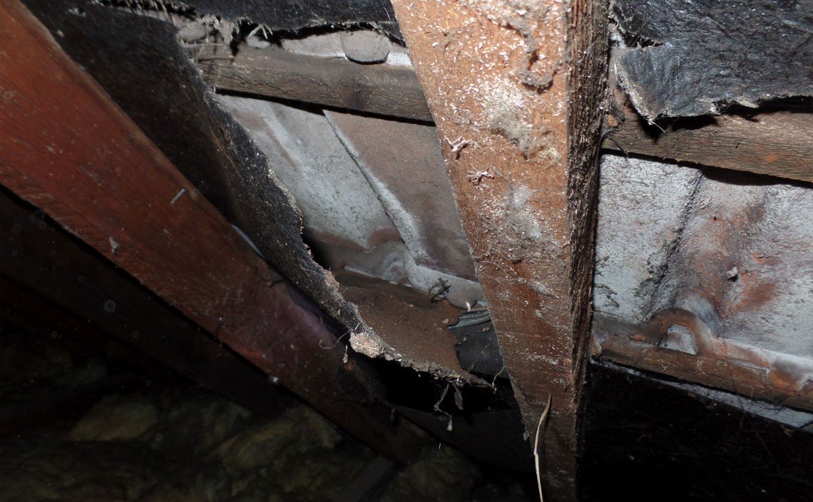 Mould In Lofts / Attics